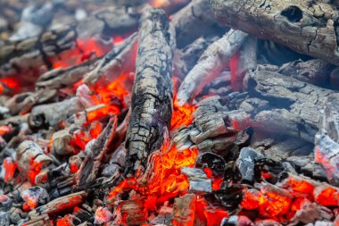 Yanmış odun, parlayan közlerden gelen sıcak bir parıltı yayar. Kamp ateşi etrafında toplanmak ve doğada hikayeler paylaşmak için rahatlatıcı bir atmosfer yaratır..