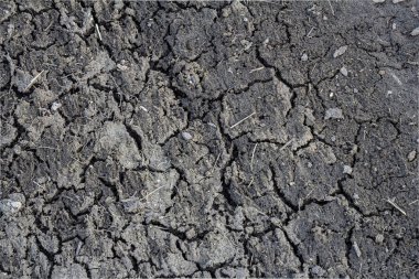Toprak kuru ve çatlamış görünüyor. Bu da kırsal alanda uzun süren kuraklık koşullarını gösteriyor. Düzensiz doku, nem eksikliğinin etkisini gösteriyor..