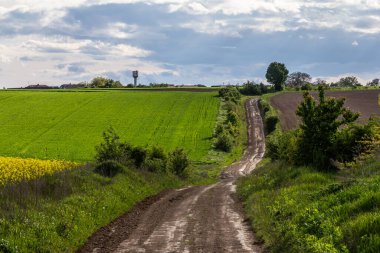Toprak bir yol, bulutlu bir gökyüzünün altındaki kır çiçekleriyle dolu canlı yeşil tarlalar boyunca esiyor. Yakınlardaki bir kasabayı gösteren bir su kulesi görünüyor..