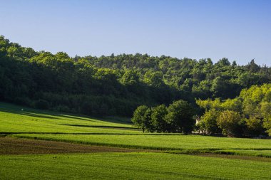 Geniş yeşil alanlar yoğun bir ormana doğru uzanıyor. Gün ışığında berrak mavi bir gökyüzü altında dinginlikle dolu canlı bir doğal manzara sergiliyorlar..