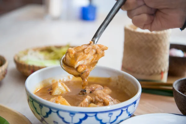 Spicy chicken curry — Stock Photo, Image