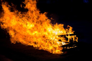 Kamp ateşi yanan odun