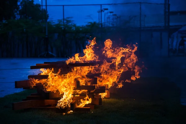 Camp fire burning wood — Stock Photo, Image