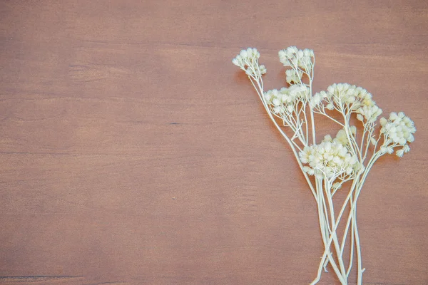 Wood texture background with dried flower decoration