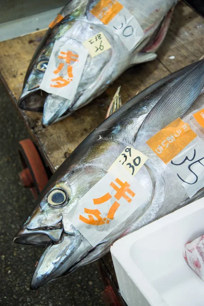 Atum fresco pronto para ser vendido — Fotografia de Stock