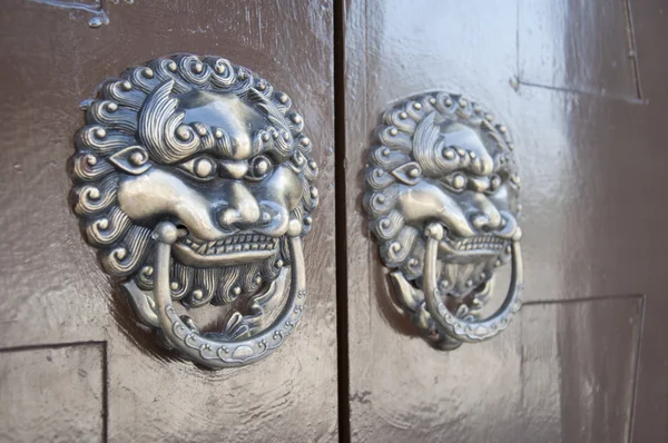 Lion-type knocker — Stock Photo, Image