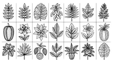 Bitki simgesi vektör çizimi