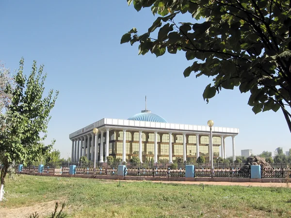 Tashkent Almazar Majlis 2007 — Stockfoto