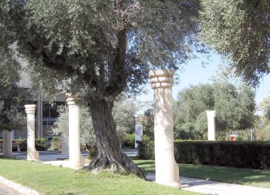 Bar-Ilan Üniversitesi slapin plaza 2009