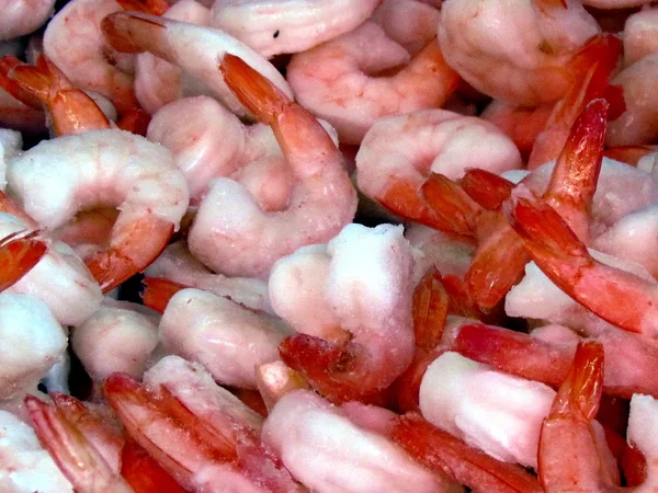 Tel Aviv shrimp 2012 — Stock Photo, Image