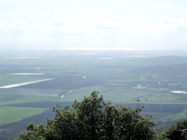 Batı Galilee Fields 2004