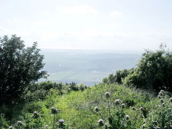 Western Galilee landscape 2004 — Stock Photo, Image