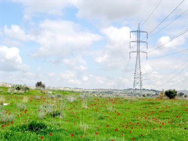 Shoham bulutlu bahar günü 2004