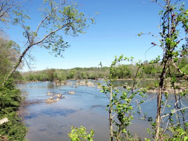 Potomac Nehri manzara Nisan 2016