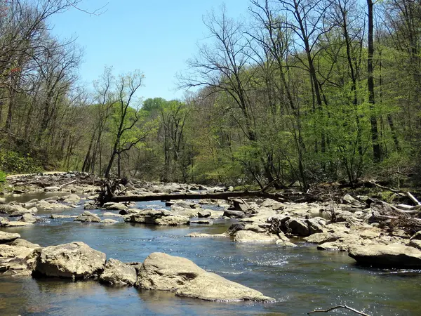 Mclean Mine Run Branch River paisagem 2016 — Fotografia de Stock