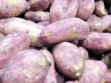  Thornhill kırmızı tatlı patates 2016