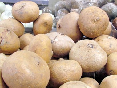 Thornhill jicama 2016