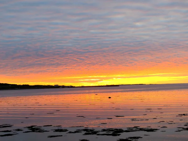 Newfoundland beautiful sunset 2016 — Stock Photo, Image