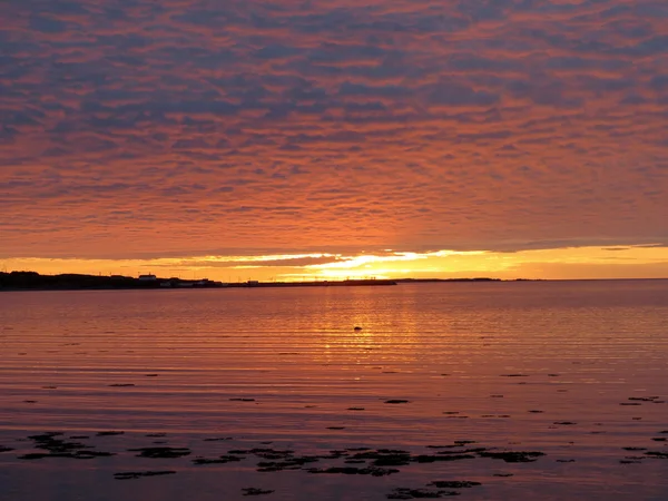 Newfoundland the beautiful sunset 2016 — Stock Photo, Image