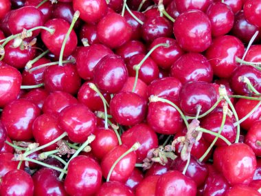  Tel Aviv kiraz meyve ın Bazaarı 2012