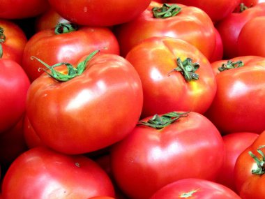  Tel Aviv büyük domates 2012