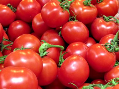 Tel Aviv kırmızı domates 2013 
