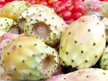  Tel Aviv sabra meyve 2012