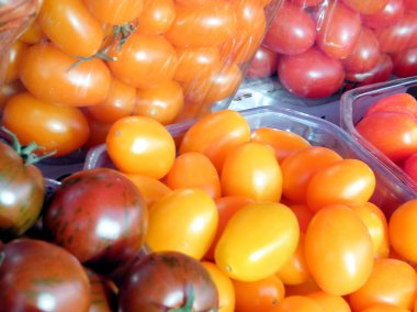 Tel Aviv nadir 2011 domates çeşitleri
