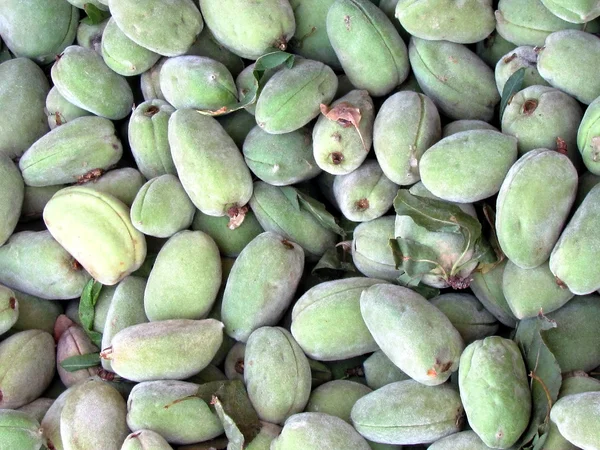 Tel Aviv Green Almonds 2012