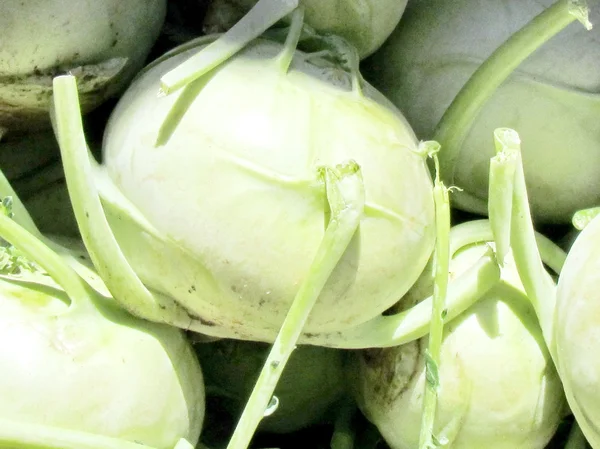 Tel Aviv kohlrabi 2012 — Foto de Stock