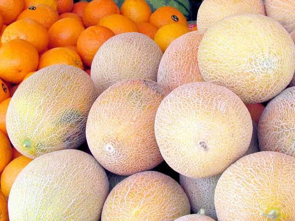 Melons et oranges Tel Aviv 2012 — Photo