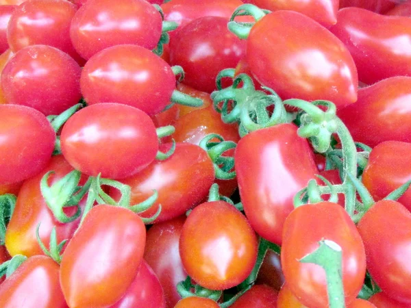 Tel Aviv plum tomatoes on bazaar 2012 — Stock Photo, Image