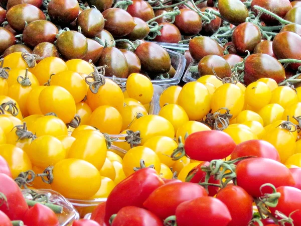 Red, yellow and brown tomatoes — Stock Photo, Image