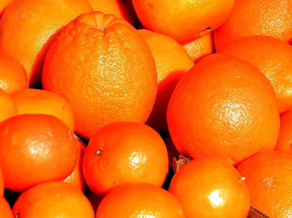 Tel aviv Mandarinen und Orangen 2011 — Stockfoto