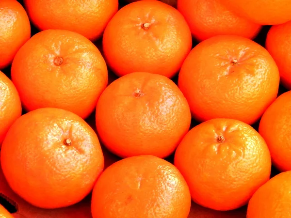 Tel Aviv tangerines 2011 — Stock Photo, Image