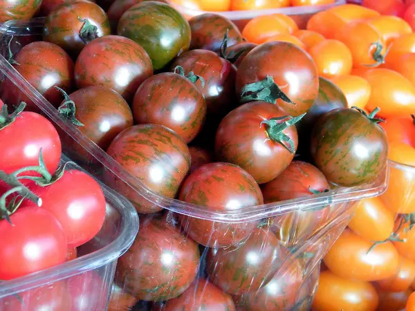 Tel Aviv tomatoes in boxes 2011 — Stock Photo, Image