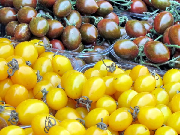 Tel Aviv yellow and brown tomatoes 2012 — Stock Photo, Image