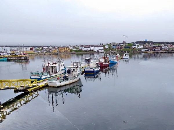 Newfoundland Bonavista tekneler 2016 — Stok fotoğraf