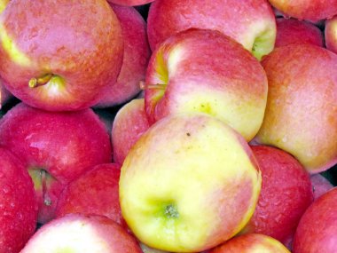  2013 yağmurla yıkanmış St Jacobs Köyü elma