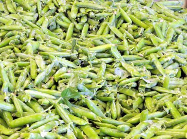 Markham bezelye 2016