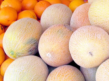 Tel Aviv kavun ve portakal 2012