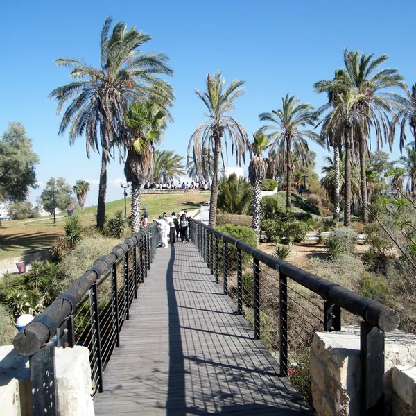 Jaffa bridge of desires 2010 — Stock Photo, Image