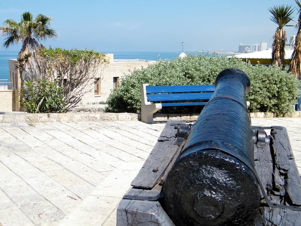Jaffa Napoleonic cannon 2011 — Stock Photo, Image