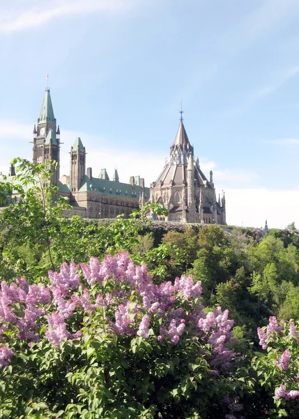 Arbustos lila de Ottawa frente al Parlamento 2008 — Foto de Stock