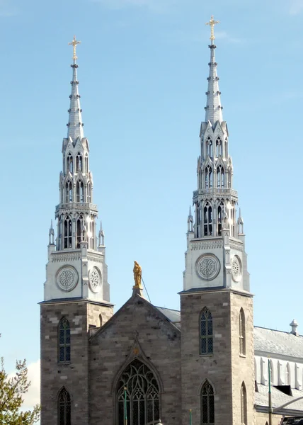 Ottawa notre dame basilica fassade 2008 — Stockfoto