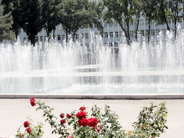 Tashkent the fountain near Sayilgoh street 2007 — Stock Photo, Image