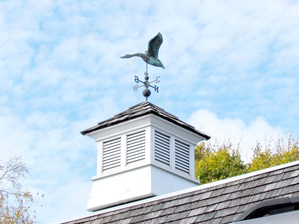  St Jacobs Village duck weather vane on roof 2013