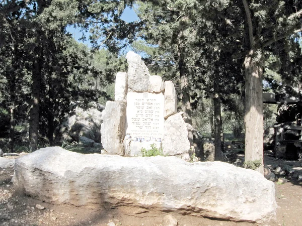 Israel memorial de pilotos na floresta 2010 — Fotografia de Stock