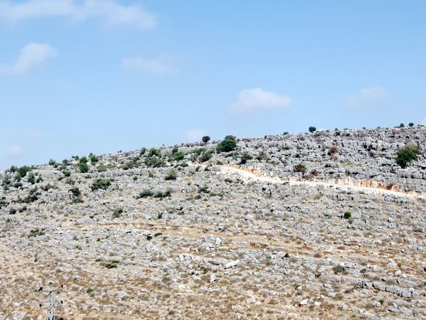 Karmielsteine auf dem Hügel 2008 — Stockfoto