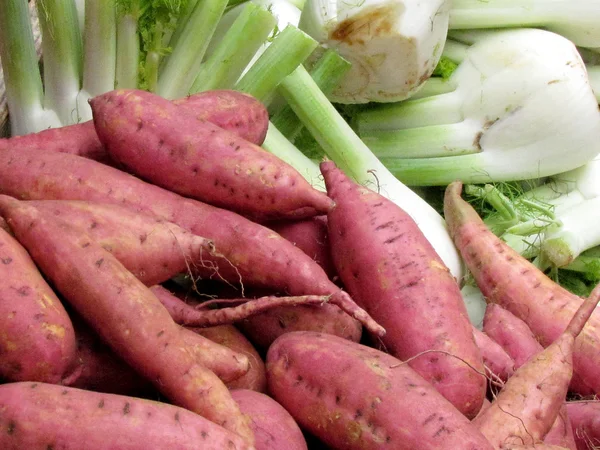 Tel Aviv zoete aardappel en fenchel 2012 — Stockfoto